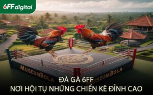 Đá Gà 6FF – Nơi Hội Tụ Những Chiến Kê Đỉnh Cao