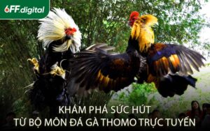 Khám Phá Sức Hút Từ Bộ Môn Đá Gà Thomo Trực Tuyến