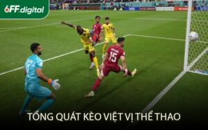 Tổng Quát Kèo Việt Vị Thể Thao