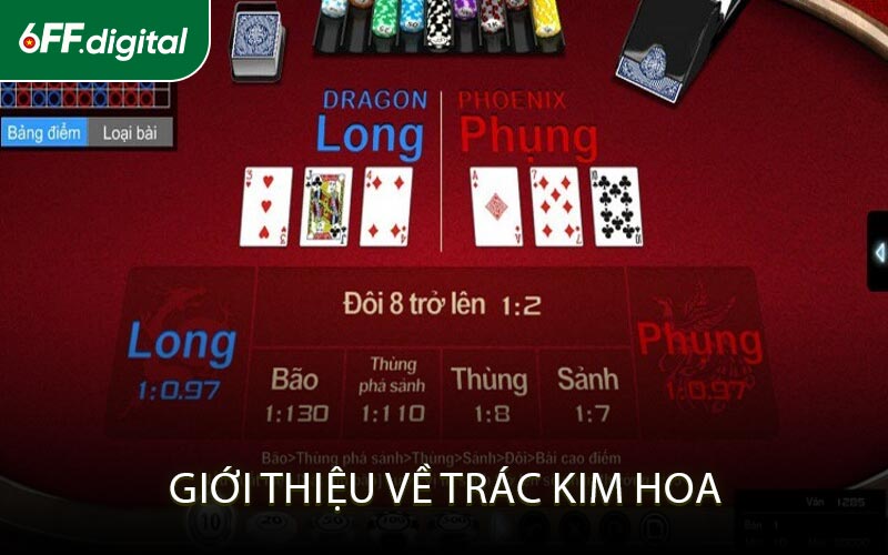 Giới thiệu về Trác Kim Hoa