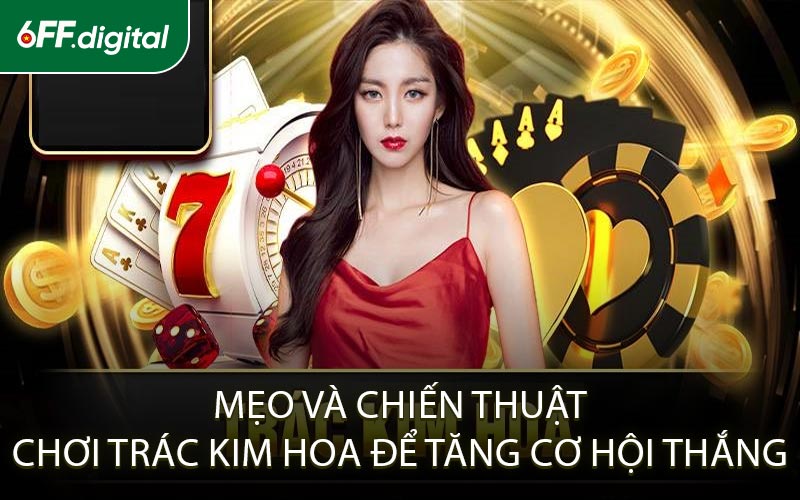 Mẹo và chiến thuật chơi Trác Kim Hoa để tăng cơ hội thắng